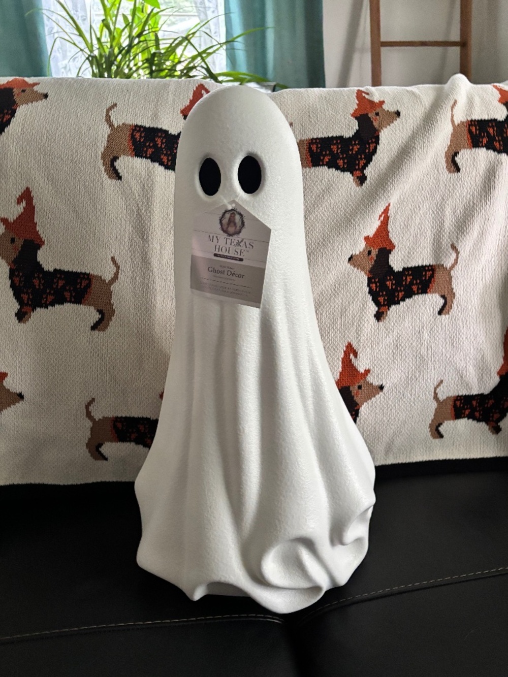 My Texas house ghost